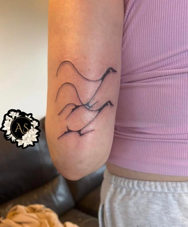 Auréa Studio - 91055612-b850-4575-a2e1-46a33a723a3e.jpg